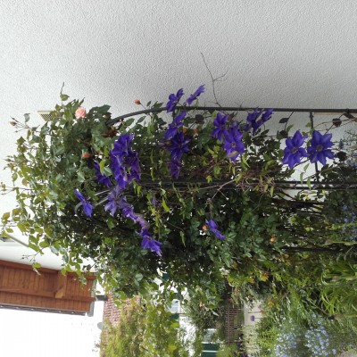 20160528_155830.jpg