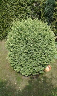 20160528_170143.jpg
