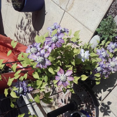 20160526_110139.jpg