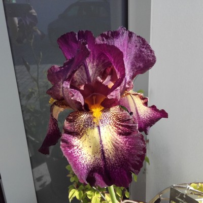 20160527_170003.jpg