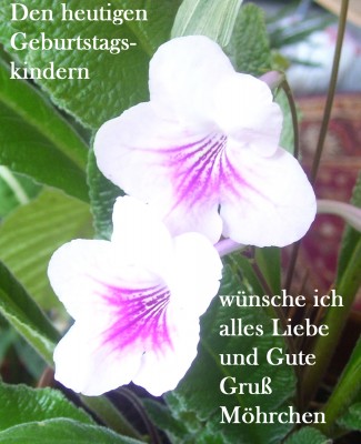 lj Kopie.jpg