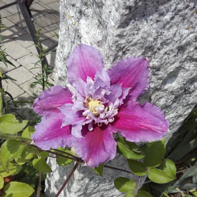 20160529_115810.jpg