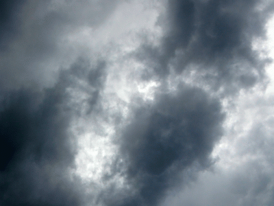 P1010729.gif