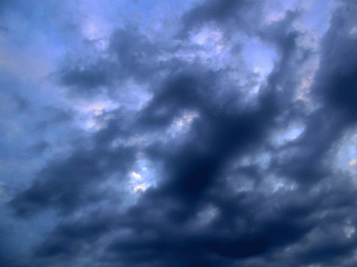 P1010745.gif