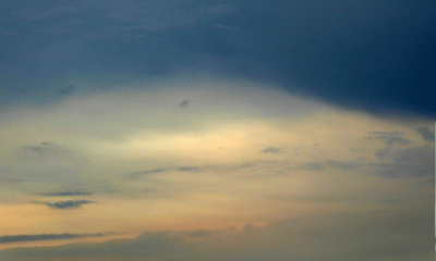 P1010735.gif