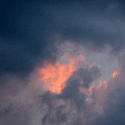 P1010749.gif