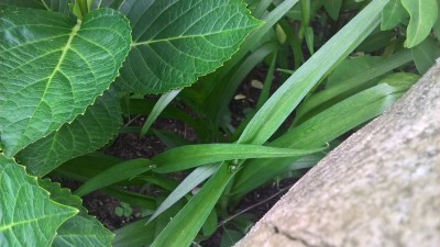 WP_20160529_16_14_21_Pro.jpg
