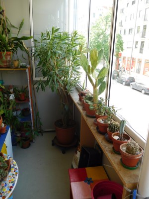 DSCN0941.JPG