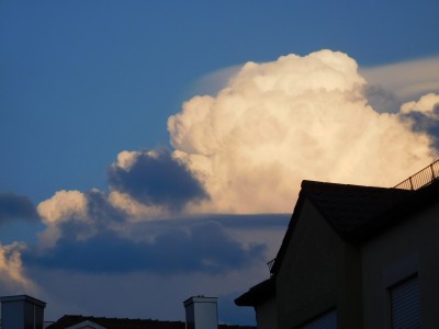 DSCN0931.JPG