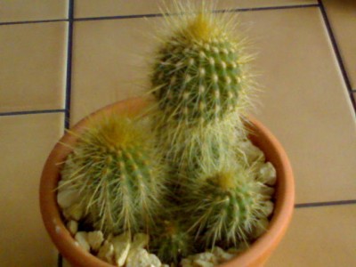 DSC00783.JPG
