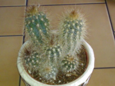 DSC00791.JPG