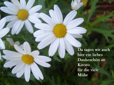 mööp 330 Kopie.jpg