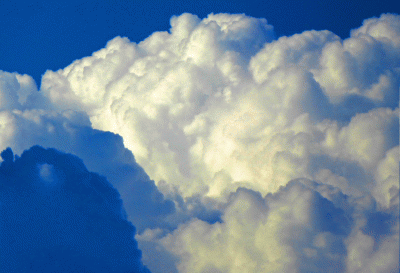 P1010868.gif