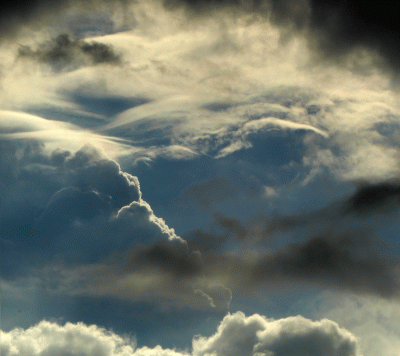 P1010859.gif