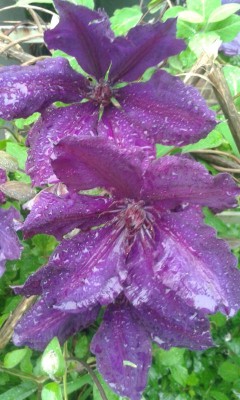 20160530_101807.jpg