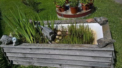 WP_20160531_10_41_47_Pro.jpg