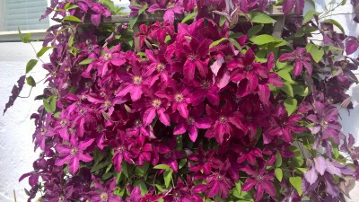WP_20160531_11_32_47_Pro.jpg