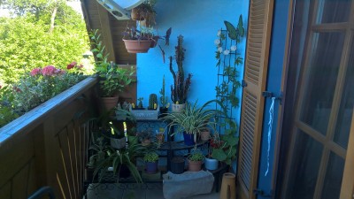 WP_20160531_08_58_43_Pro.jpg