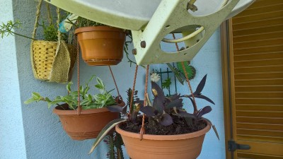 WP_20160531_08_59_07_Pro.jpg