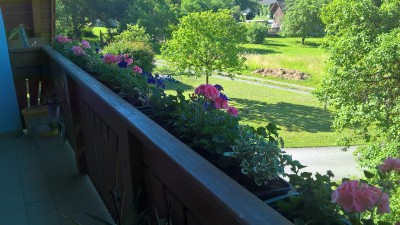 WP_20160531_09_00_01_Pro.jpg