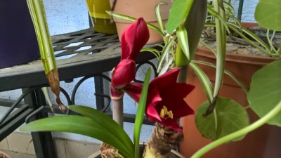 WP_20160531_08_55_08_Pro.jpg