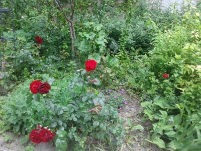 20160531_Hof4.jpg