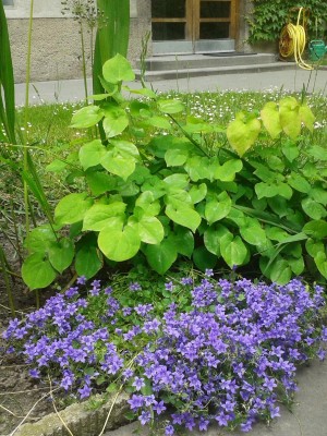 20160531_Hof5.jpg