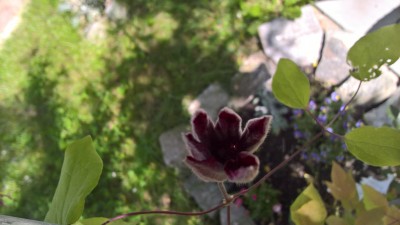 WP_20160601_10_37_26_Pro.jpg