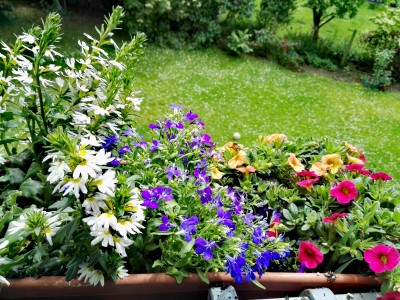 IMG_20160602_123218.jpg