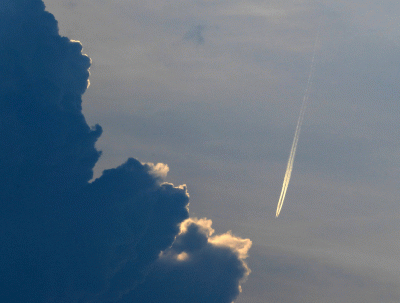 P1010936.gif