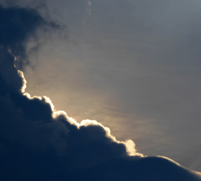 P1010941.gif
