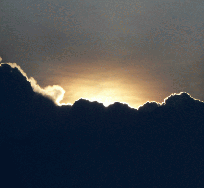 P1010948.gif