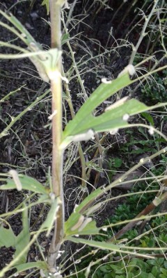 20160606_193254.jpg