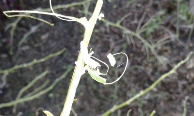 20160606_193236.jpg