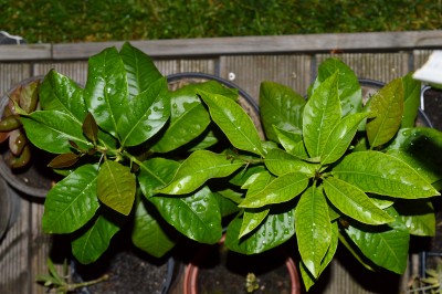 2016-06-08_22-57-27.JPG