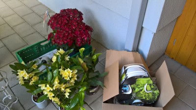 WP_20160610_16_33_06_Pro.jpg