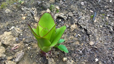 WP_20160610_15_56_44_Pro.jpg