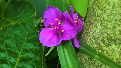 WP_20160611_10_00_07_Pro.jpg