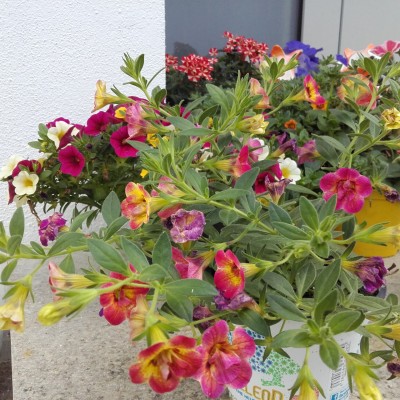 20160603_152827.jpg