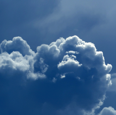 P1020382.gif