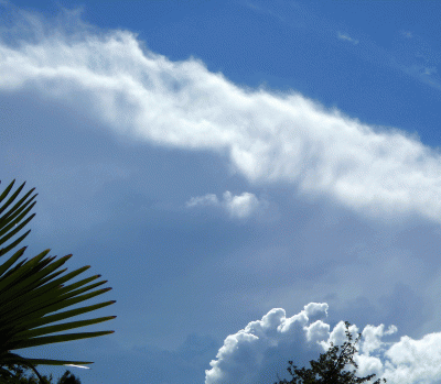 P1020393.gif