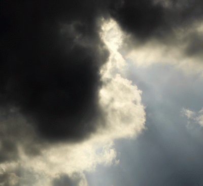 P1020362.gif