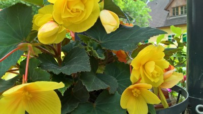 WP_20160616_11_30_16_Pro.jpg