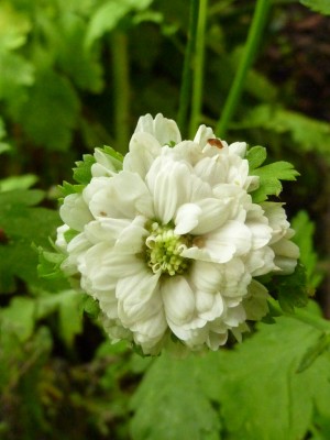 20160529 053.JPG