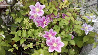 20160618_113102.jpg