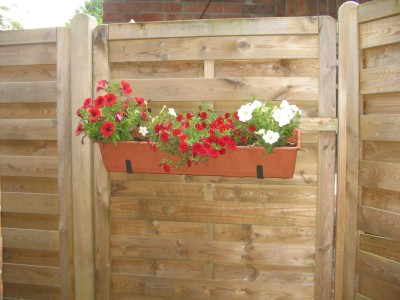 Blumenkasten 16.JPG