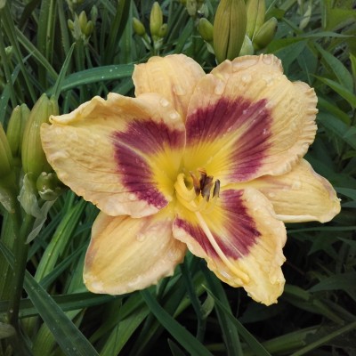 20160619_174639.jpg