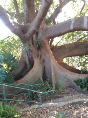 20160513_134543.jpg