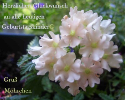 schmu.jpg