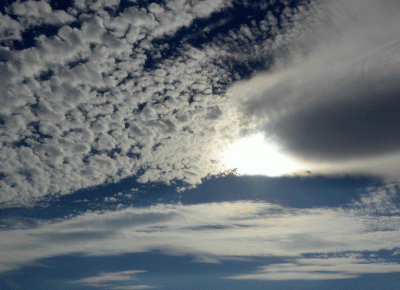 P1020572.gif